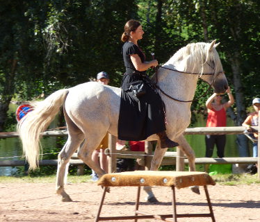 Equin'Ox  <em>03250 Saint-Clment</em> Allier