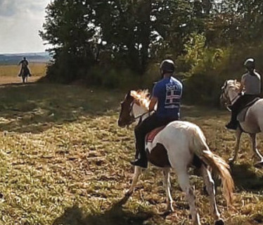 Escapade  Cheval  <em>21120 chevannes</em> Cte-dOr