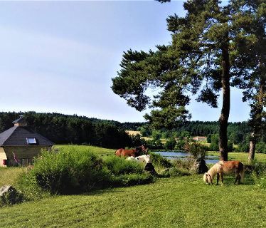 Ferme de Vovady  <em>43290 Montregard</em> Haute-Loire