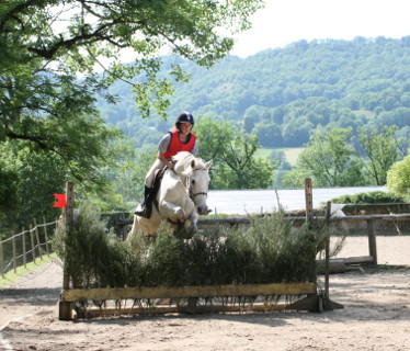 Ferme questre Cheval Dcouverte   Cantal