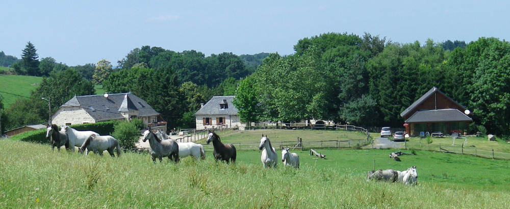 Ferme Equestre de Mialaret à  Corrèze