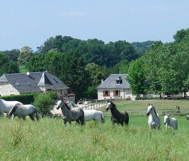 Ferme Equestre de Mialaret  <em>19430 Camps-Saint-Mathurin</em> Corrze