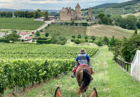 Ferme Equestre de Saint-Laurent  <em>71800 Saint-Laurent-en-Brionnais</em> Sane-et-Loire