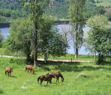 La Ferme du Lac   Tarn