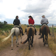 balade  cheval