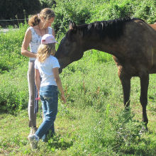 initiation equitation enfant