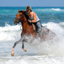 week-end cheval equitation