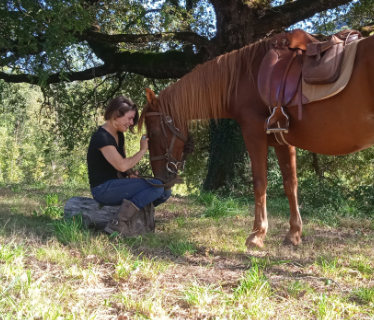 La Ferme des Grandes Oreilles  <em>81190 Pampelonne</em> Tarn