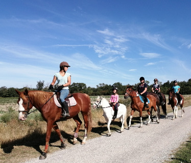 La Ferme questre des Pches  <em>26300 Chteauneuf sur Isre</em> Drme