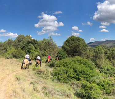 Le Cheval par Nature   Aude