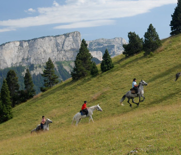 Le Vercors  Cheval   Drme