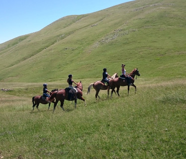 Les Chevaux de Roqupine  <em>04140 Barles</em> Alpes de Haute-Provence