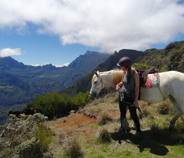 Les Chevaux du Mado  <em>97423 Le Guillaume</em> LA RUNION