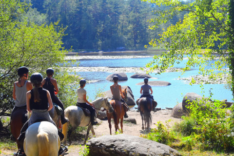 Les Ecuries de la Sabatari   Tarn