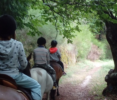 Les Poneys du Val d'meraude  <em>30460 Lasalle</em> Gard
