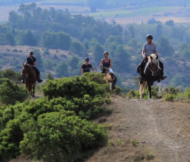 Les Randonnes EQUITable   Haute-Garonne