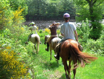 Ferme Equestre des Ribires  <em>87260 Saint-Genest-sur-Roselle</em> Haute-Vienne