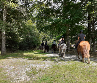 L'Etrier de la Montagne Noire  <em>81540 Les Cammazes</em> Tarn